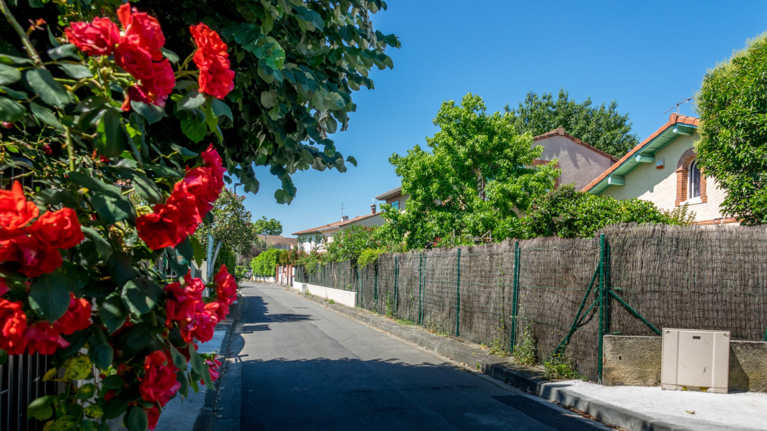 Photos du quartier Lafourguette.fr